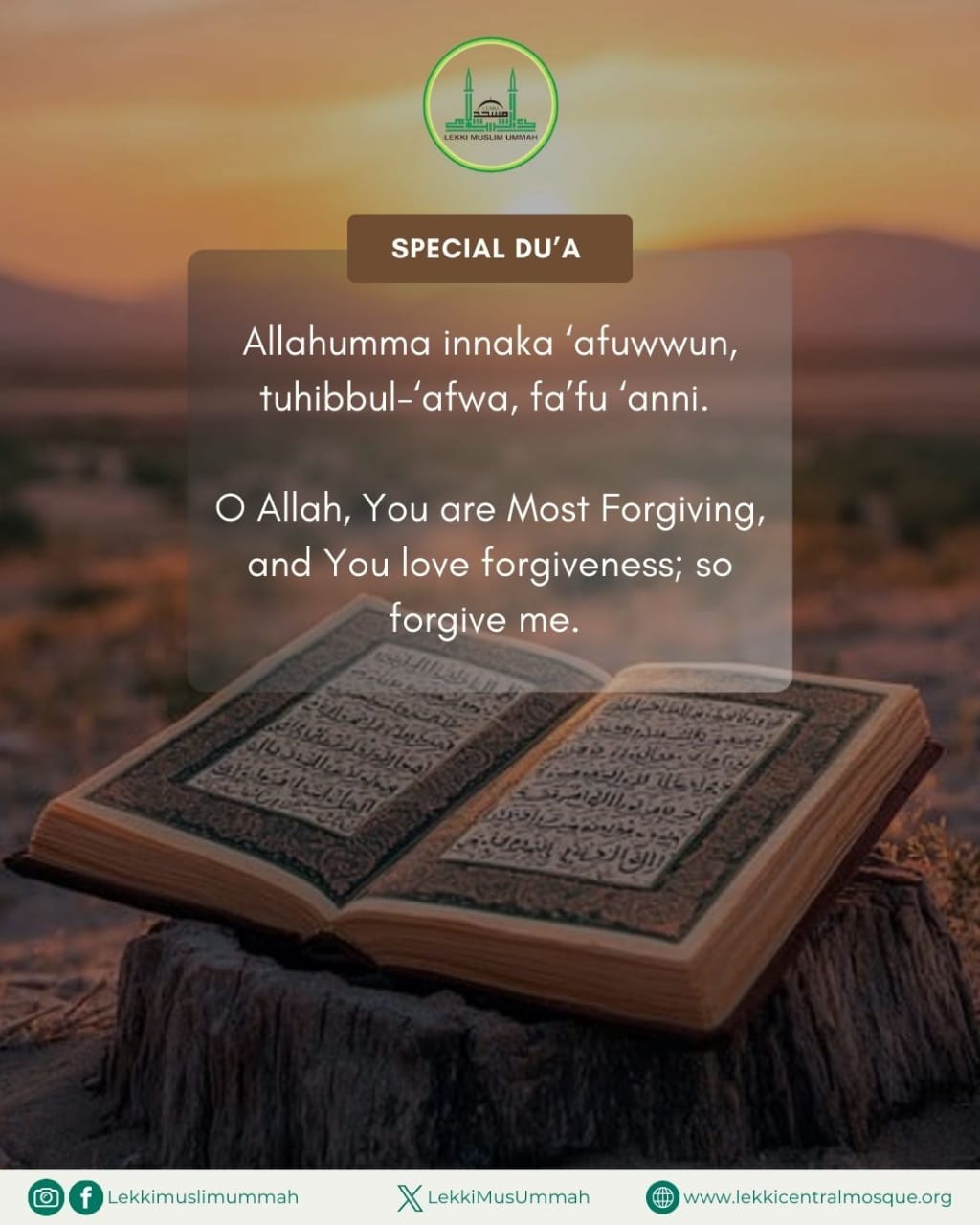 08fd9c90-a644-4f9c-9b59-86969553b8be